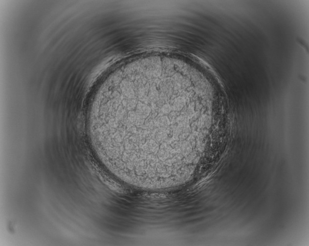 X0000099431027200806061014