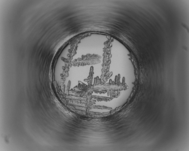 X0000099431028200806061014