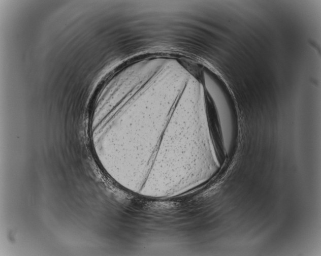 X0000099431029200806061014