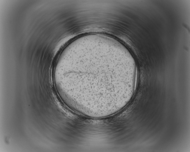 X0000099431030200806061014