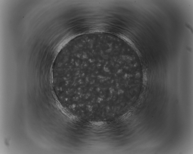 X0000099431031200806061014