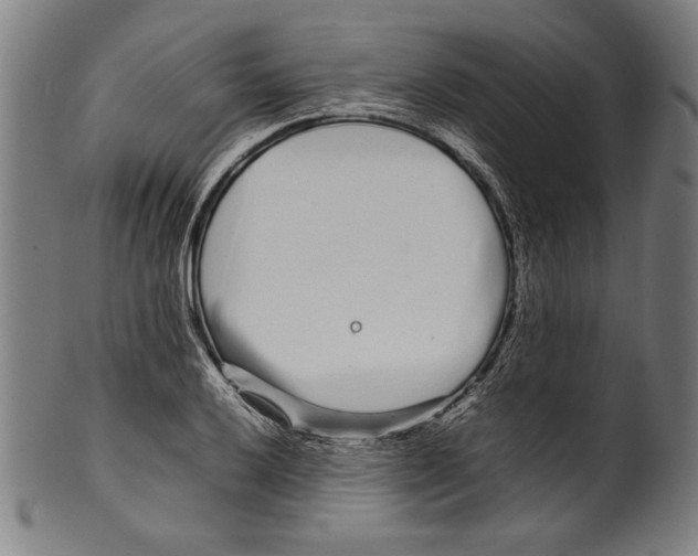 X0000099431032200806061014