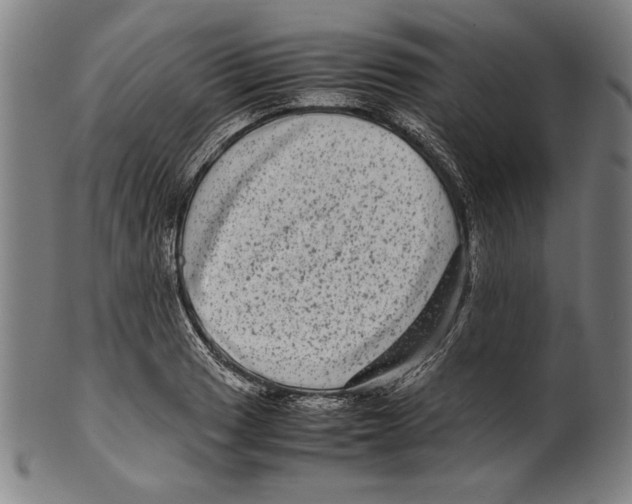 X0000099431033200806061014