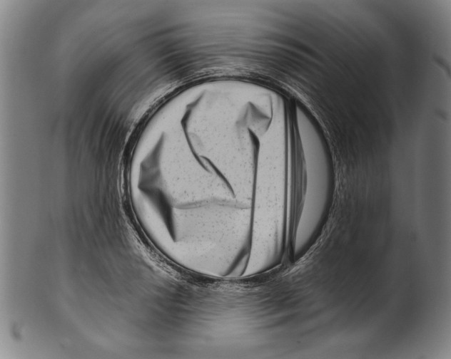 X0000099431034200806061014