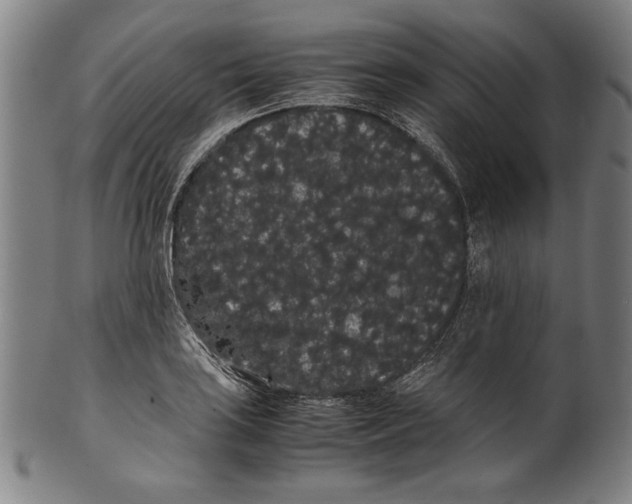 X0000099431035200806061014