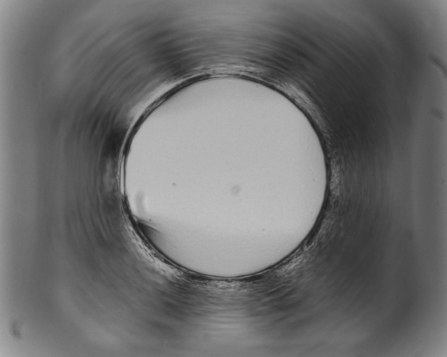 X0000099431036200806061014