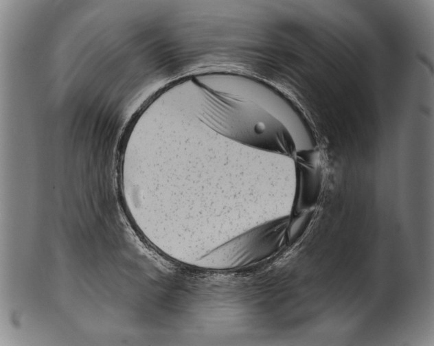 X0000099431038200806061014