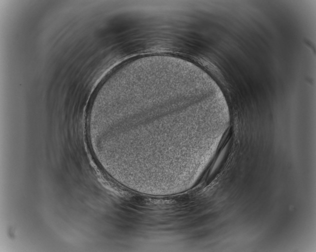 X0000099431039200806061014