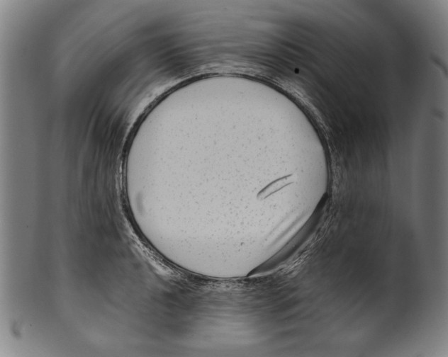 X0000099431040200806061014