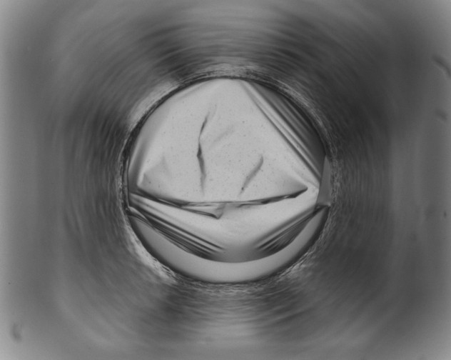 X0000099431042200806061014