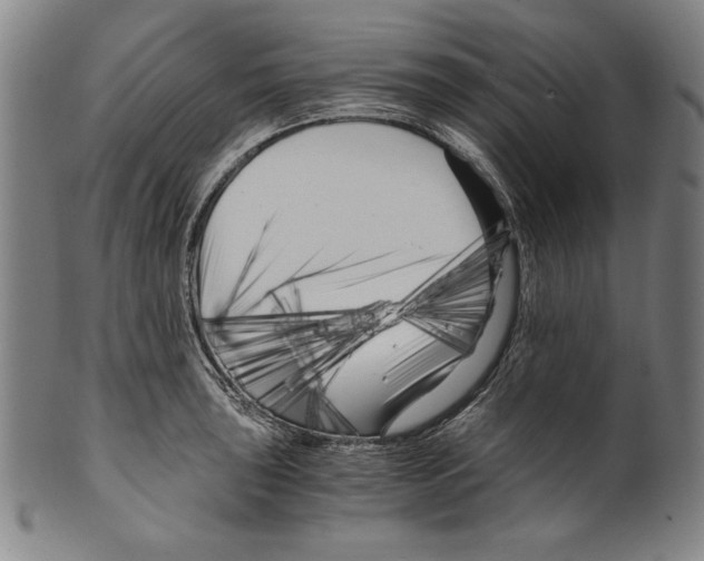 X0000099431043200806061014