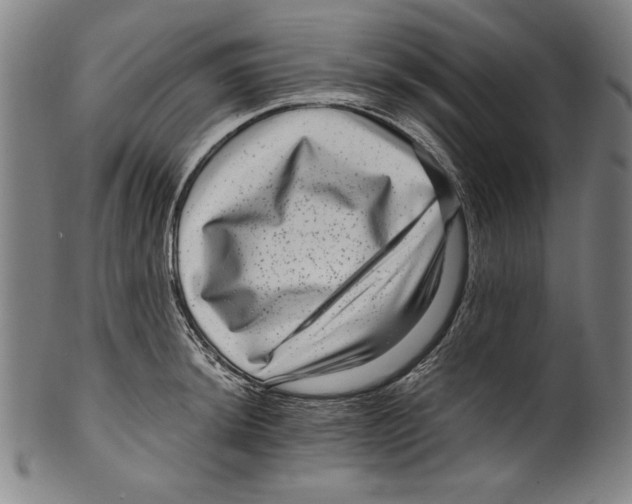 X0000099431044200806061014