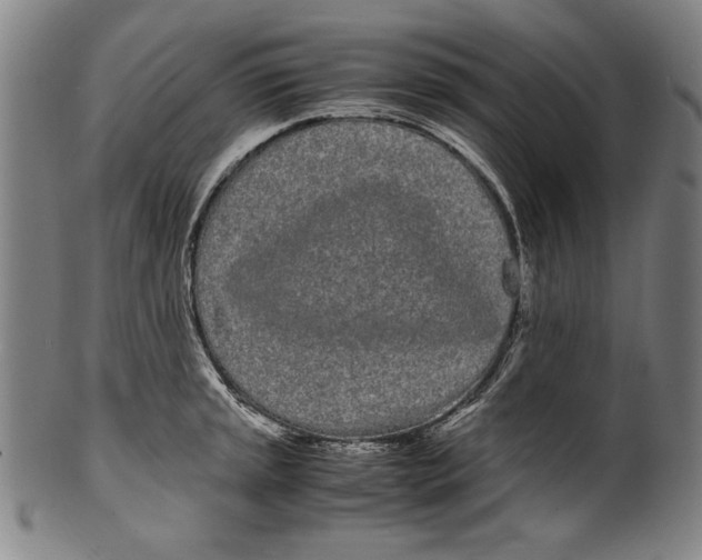 X0000099431045200806061014