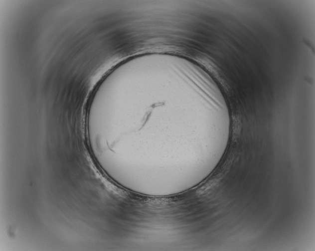 X0000099431046200806061014