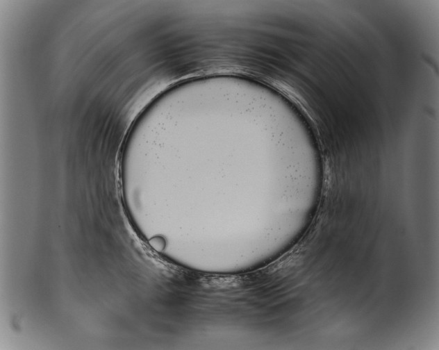 X0000099431047200806061014