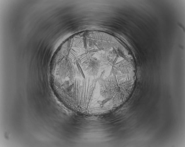 X0000099431048200806061014