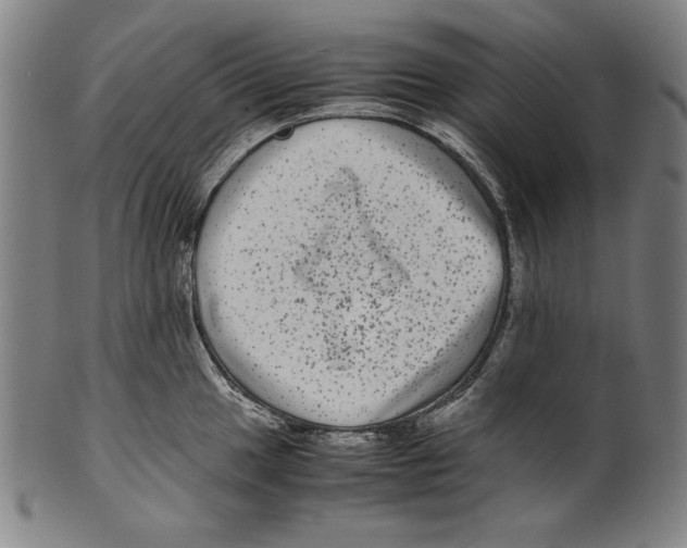 X0000099431049200806061014