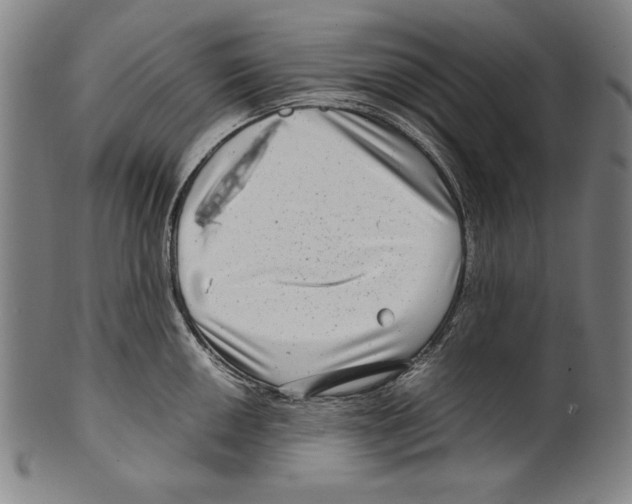 X0000099431050200806061014