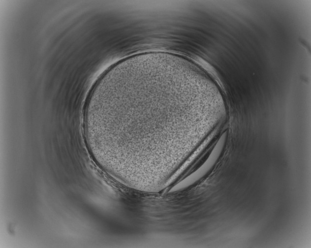 X0000099431051200806061014