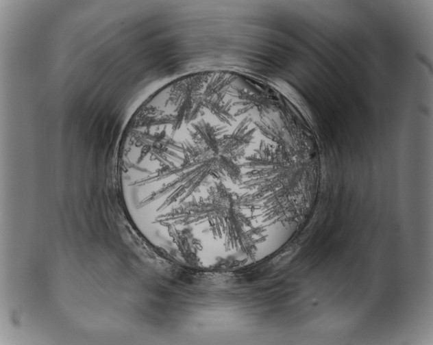 X0000099431052200806061014