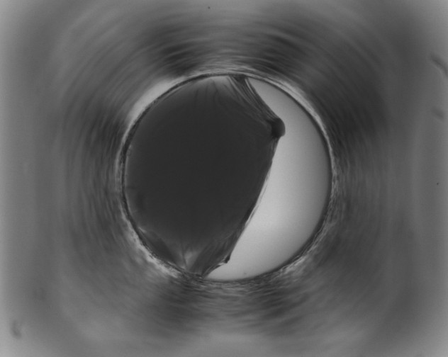 X0000099431053200806061015