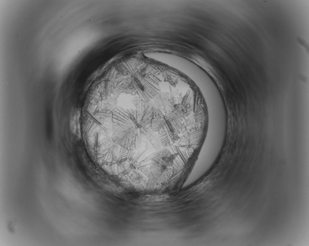 X0000099431055200806061015