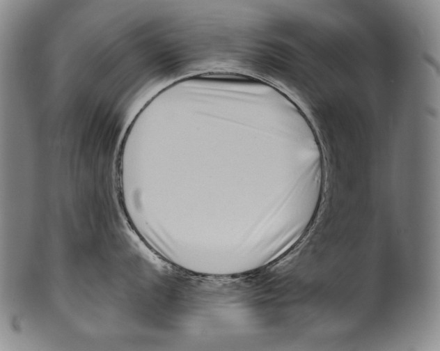 X0000099431056200806061015