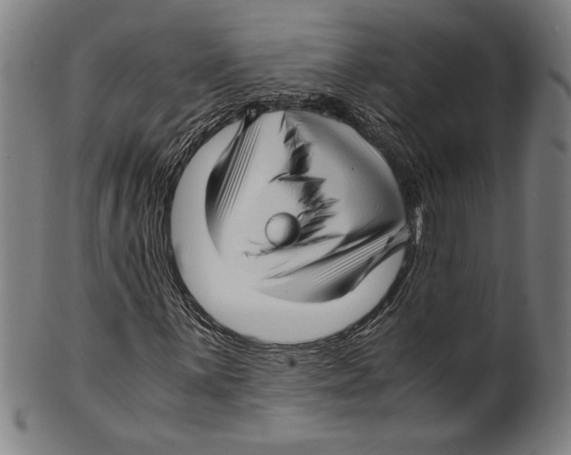 X0000099431059200806061014