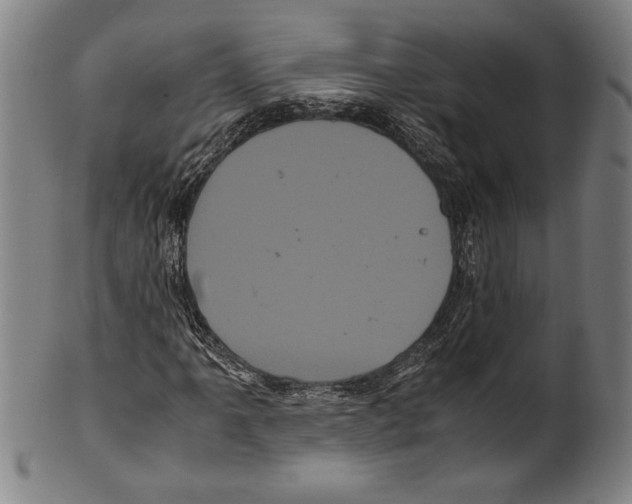 X0000099431061200806061014