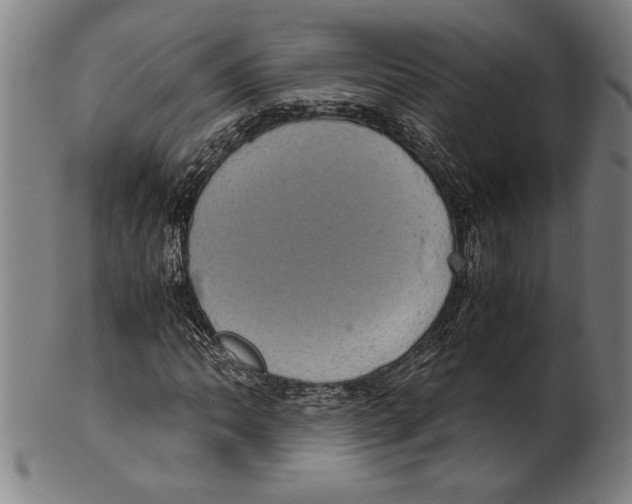 X0000099431062200806061014