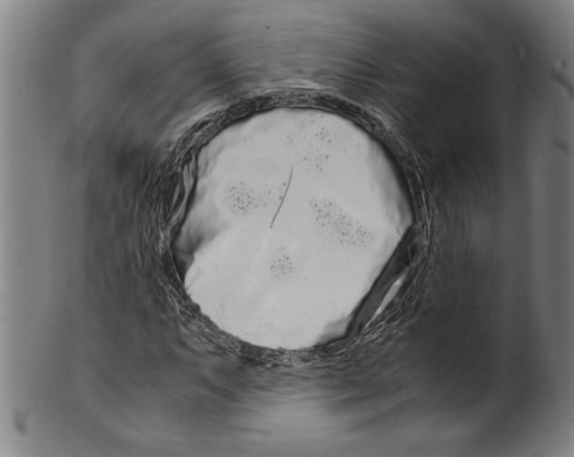 X0000099431063200806061014