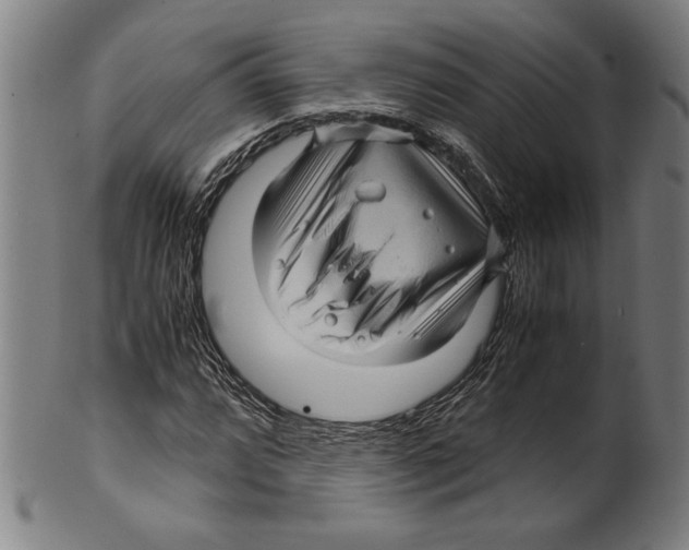 X0000099431064200806061014