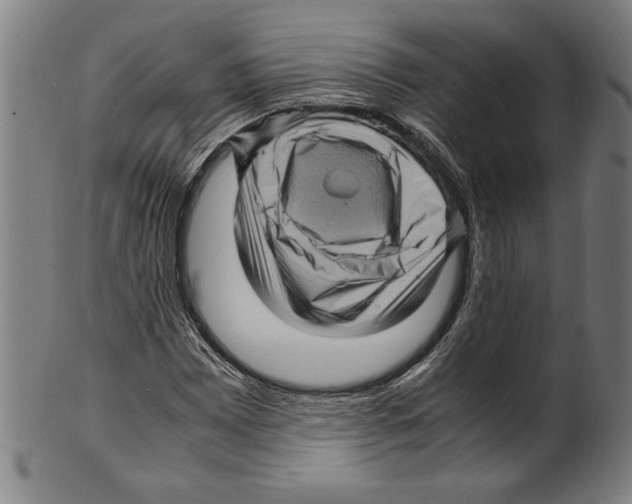 X0000099431065200806061014