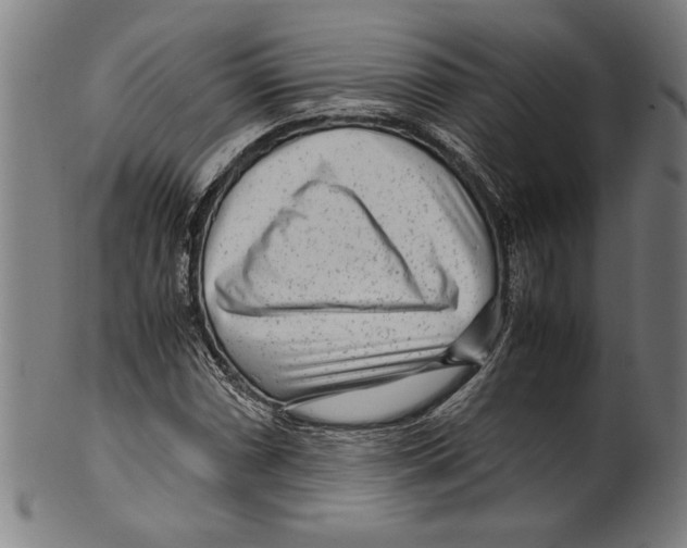 X0000099431066200806061014