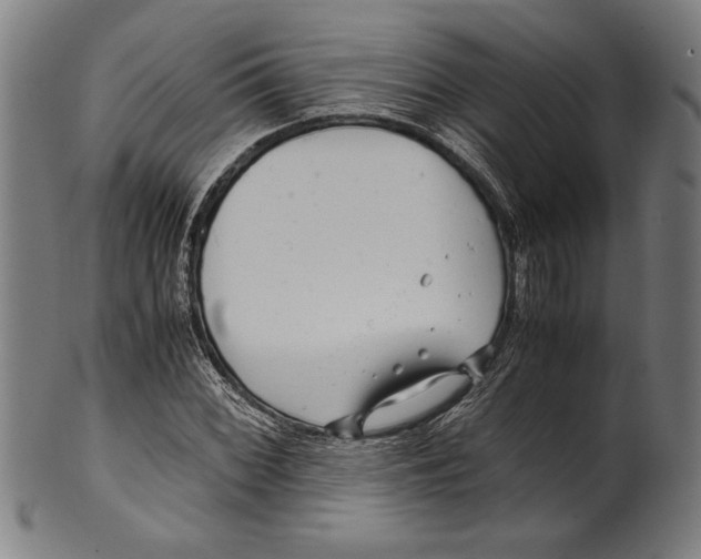 X0000099431068200806061014