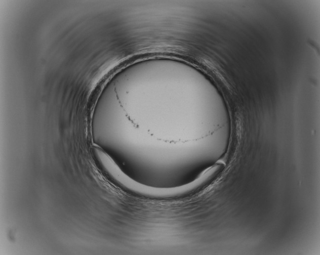 X0000099431069200806061014