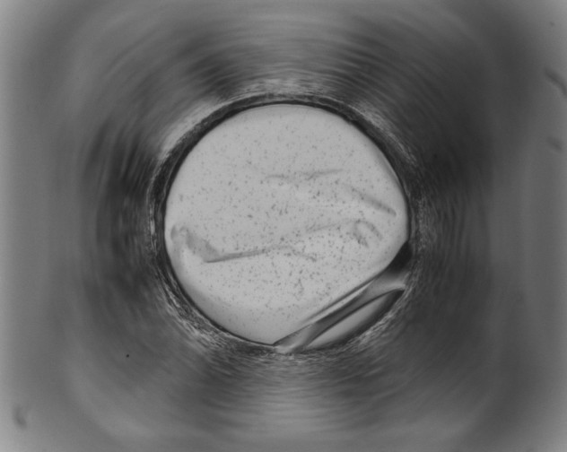 X0000099431070200806061013