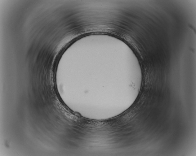 X0000099431072200806061013