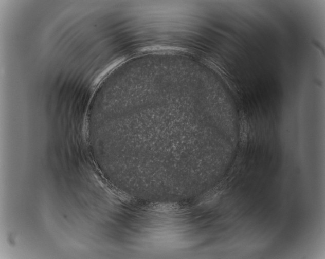 X0000099431074200806061013