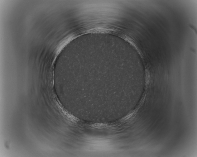 X0000099431075200806061013