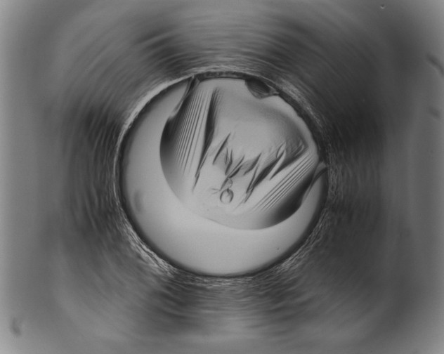 X0000099431076200806061013