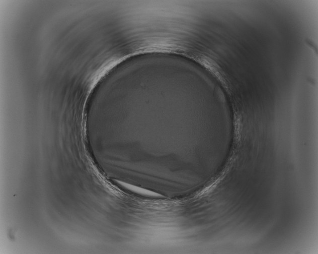 X0000099431077200806061013