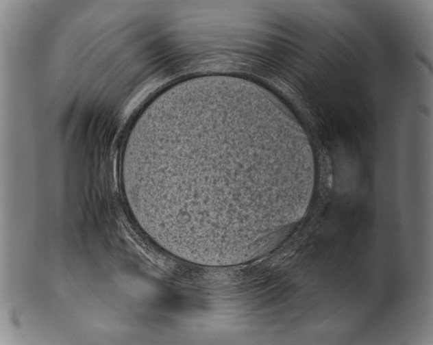 X0000099431078200806061013