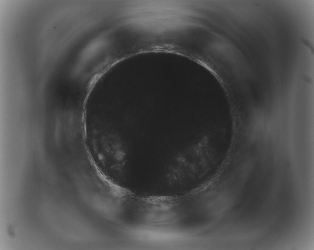 X0000099431079200806061013