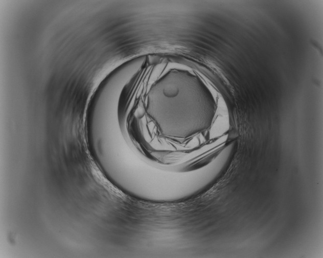 X0000099431080200806061013