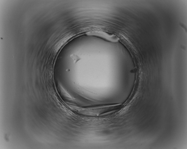 X0000099431081200806061013