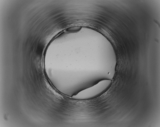 X0000099431084200806061013