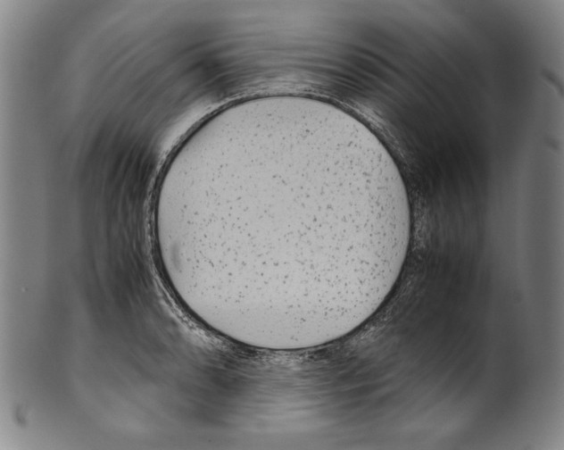 X0000099431086200806061013