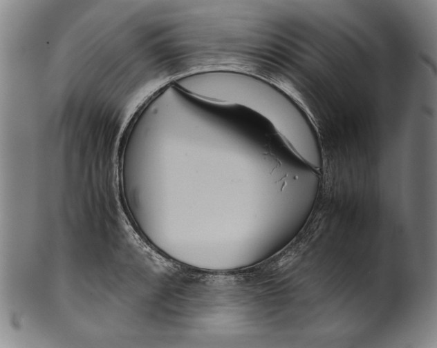 X0000099431088200806061013