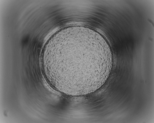 X0000099431090200806061013